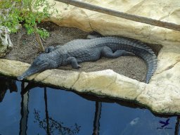 Haus des Meeres 13.03.2026